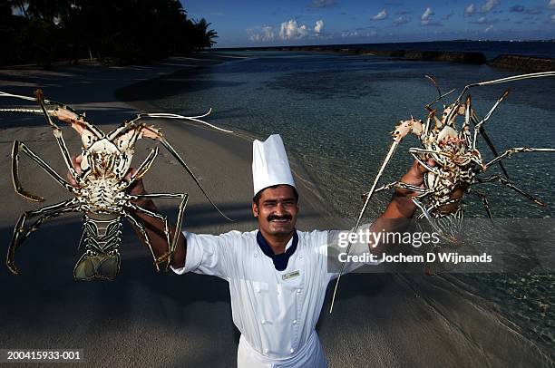 male chef holding up lobsters on beach, smiling, portrait - moustaches animales fotografías e imágenes de stock