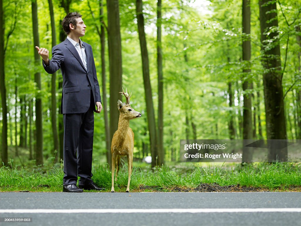 Businessman hitchhiking on country road by stuffed deer