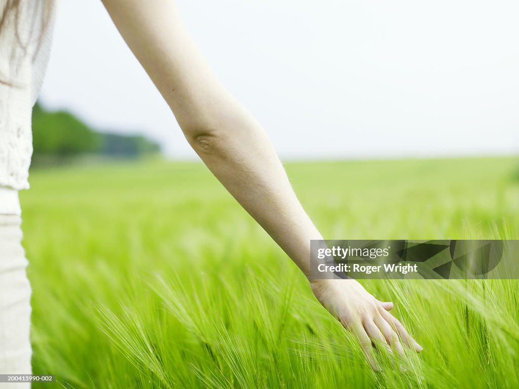 Woman in beetroot field, arm outstretched, mid section, rear veiw