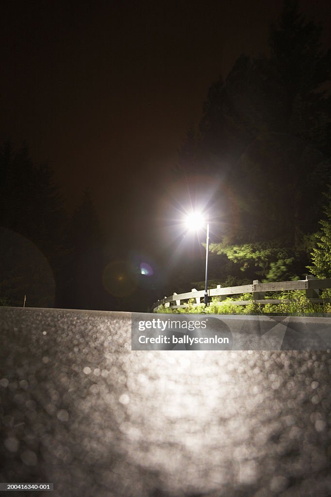 Wet winding road in fog, night