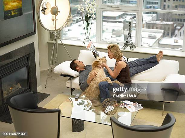 mature couple with dog relaxing on sofa, elevated view - barefoot snow stock pictures, royalty-free photos & images