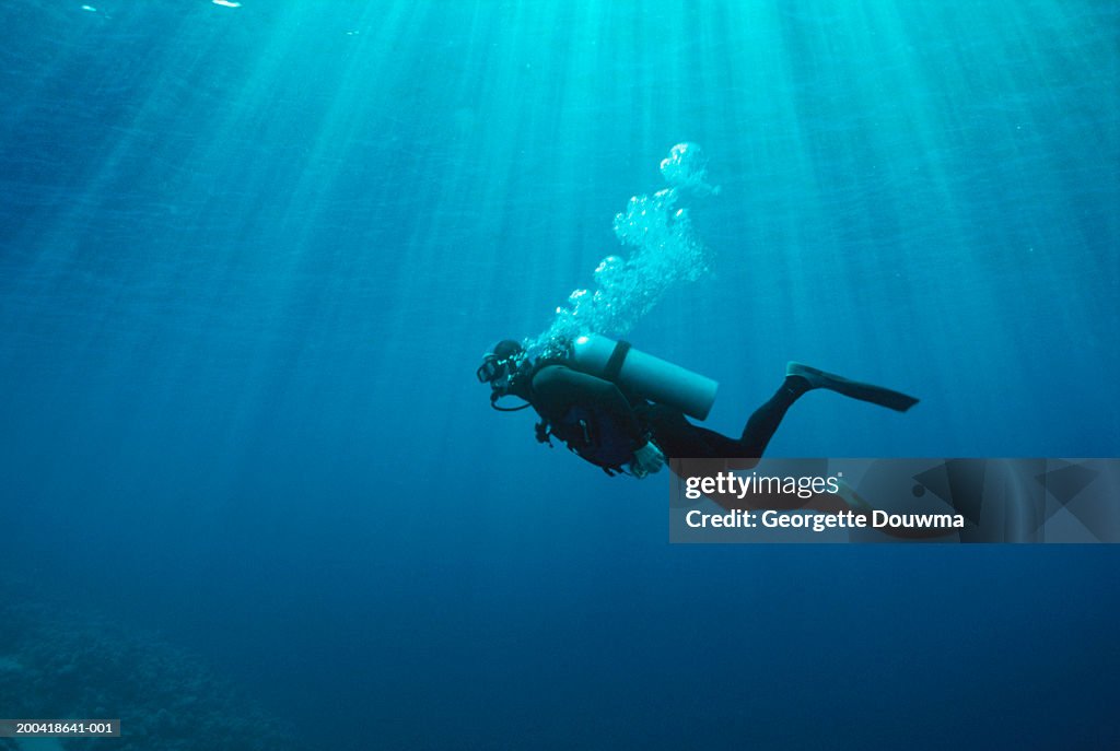 Man deep sea diving, side view, underwater view