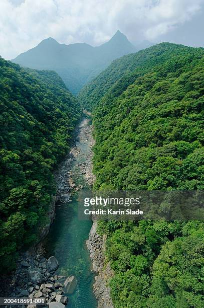 japan, anbo river in mountains, elevated view - anbo river stock pictures, royalty-free photos & images