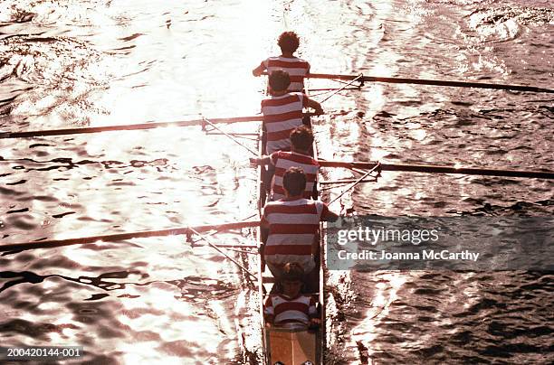 four man crew sculling, elevated view - crew rowing stock pictures, royalty-free photos & images