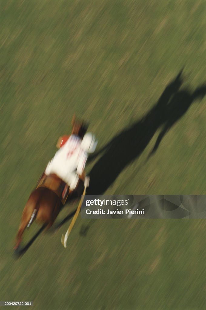 Man playing polo, elevated view (blurred motion)