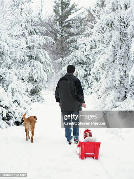 Baby Riding Dog Photos and Premium High Res Pictures - Getty Images