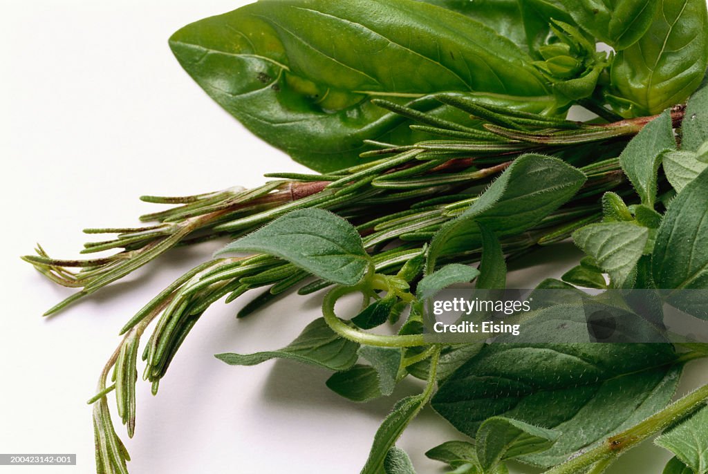 Basil; Marjoram & Rosemary