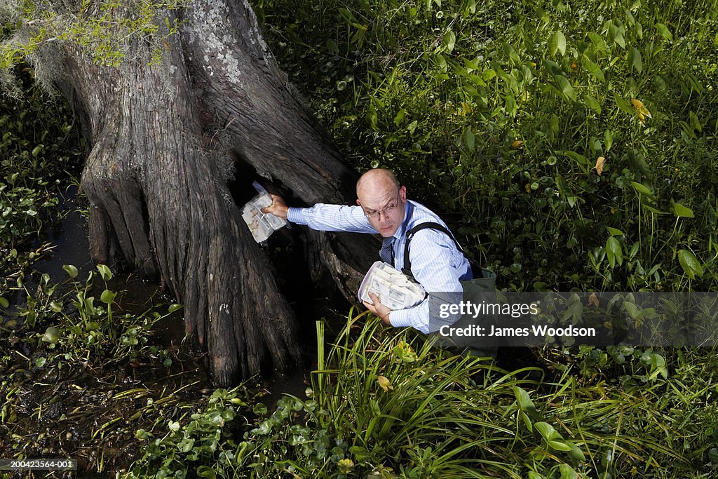 Businessman in swamp with money, looking back, elevated view