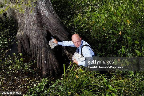 businessman in swamp with money, looking back, elevated view - cower stock pictures, royalty-free photos & images