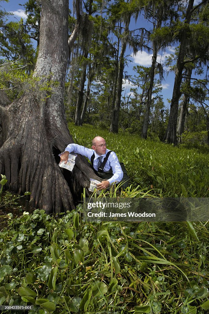 Businessman near tree in swamp with money, looking back