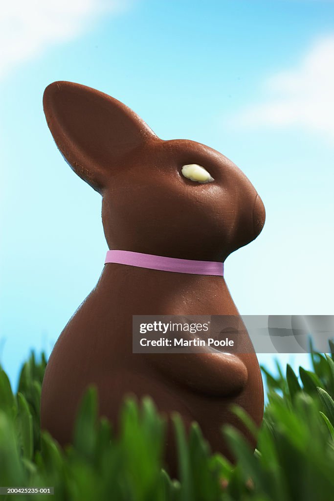 Chocolate Easter bunny facing in grass, side view, close-up