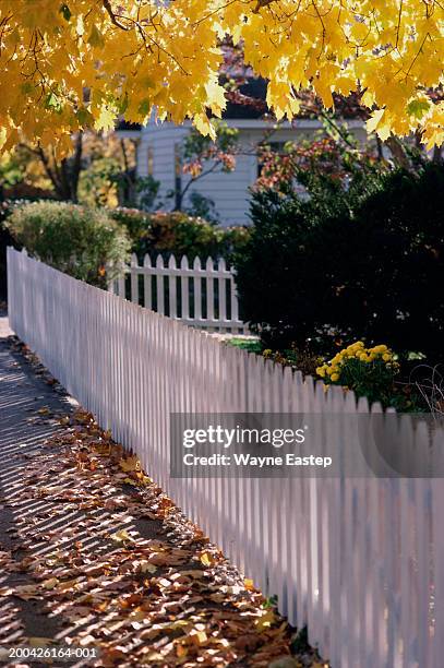 picket fence along street, autumn - newport county 個照片及圖片檔