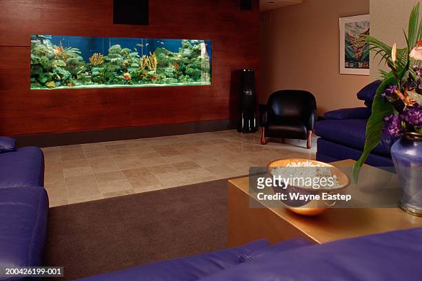 media room with aquarium - home aquarium stock pictures, royalty-free photos & images