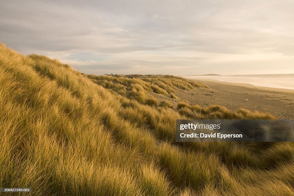 USA, California, Sonoma County Coast