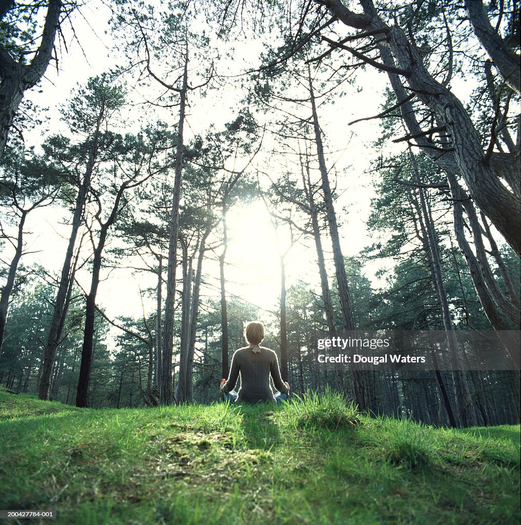 Young woman meditating on grass, rear view