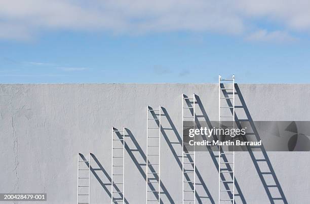 row of different sized ladders leaning against concrete wall - career ladder stock-fotos und bilder
