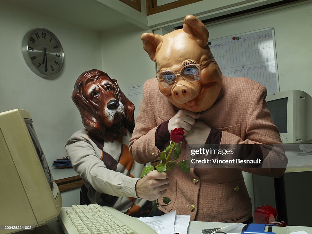 Man wearing dog mask giving rose to woman in pig mask at office desk