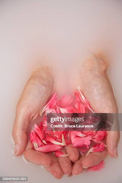 senior woman holding bunch of flower petals - 0703ef stock pictures, royalty-free photos & images