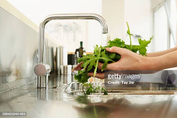 young woman washing lettuce at kitchen sink, close-up of hands - wasser oder zapfhahn stock-fotos und bilder