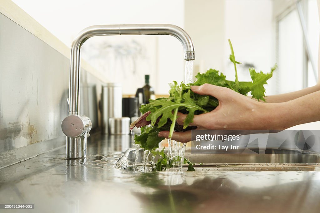 Young woman washing lettuce at kitchen sink, close-up of hands