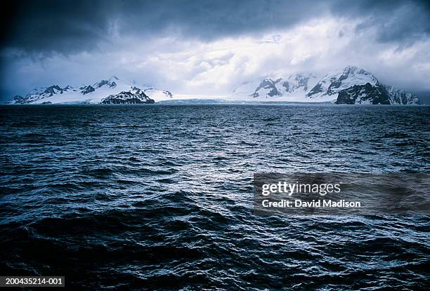 antarctica, elephant island, seascape - elephant island south shetland islands stockfoto's en -beelden