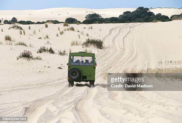 spain, donana national park, tourists in suv driving across sand dunes - parque nacional de donana stock pictures, royalty-free photos & images