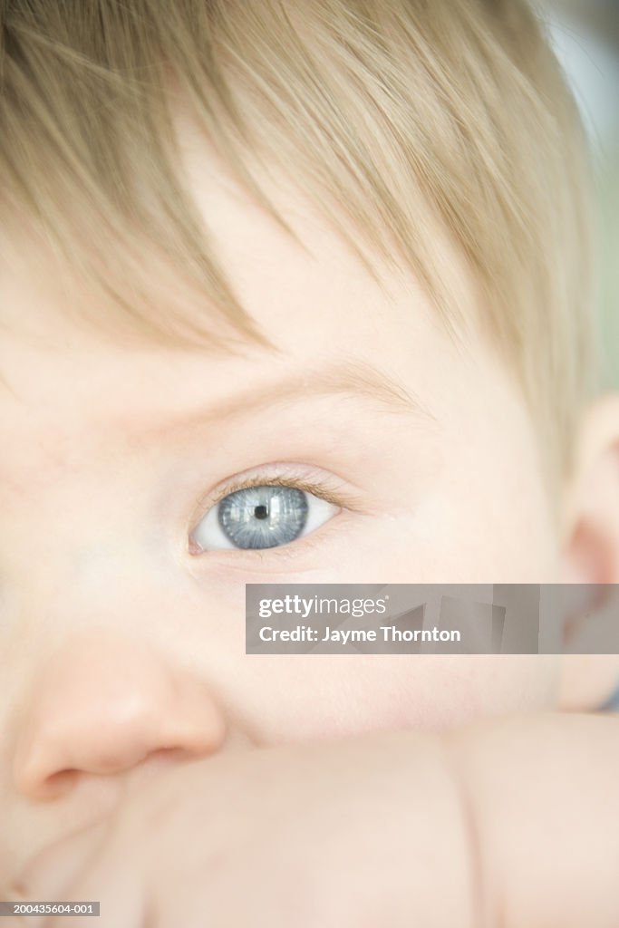 Baby boy (9-12 months), close-up