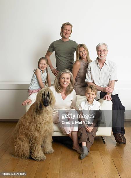 family gathered around armchair with afghan hound, smiling, portrait - afghan old man stock pictures, royalty-free photos & images