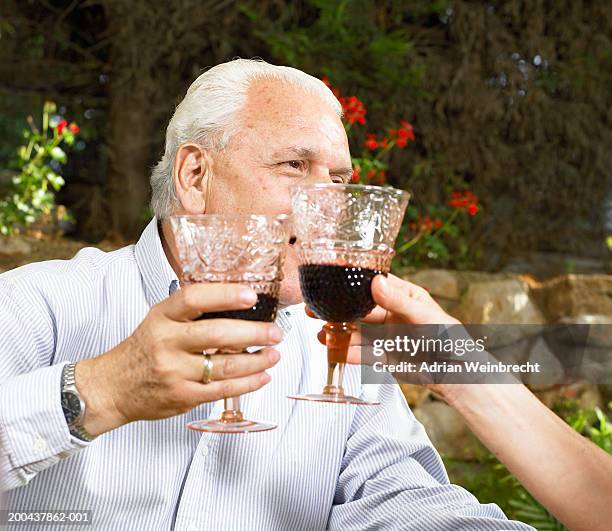 Rasing Lass 1,237 Raising A Glass Of Wine Stock Photos, High-Res Pictures, and ...
