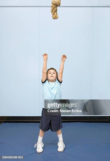 boy (5-7) reaching for climbing rope in school gymnasium, looking up - climbing rope stock-fotos und bilder
