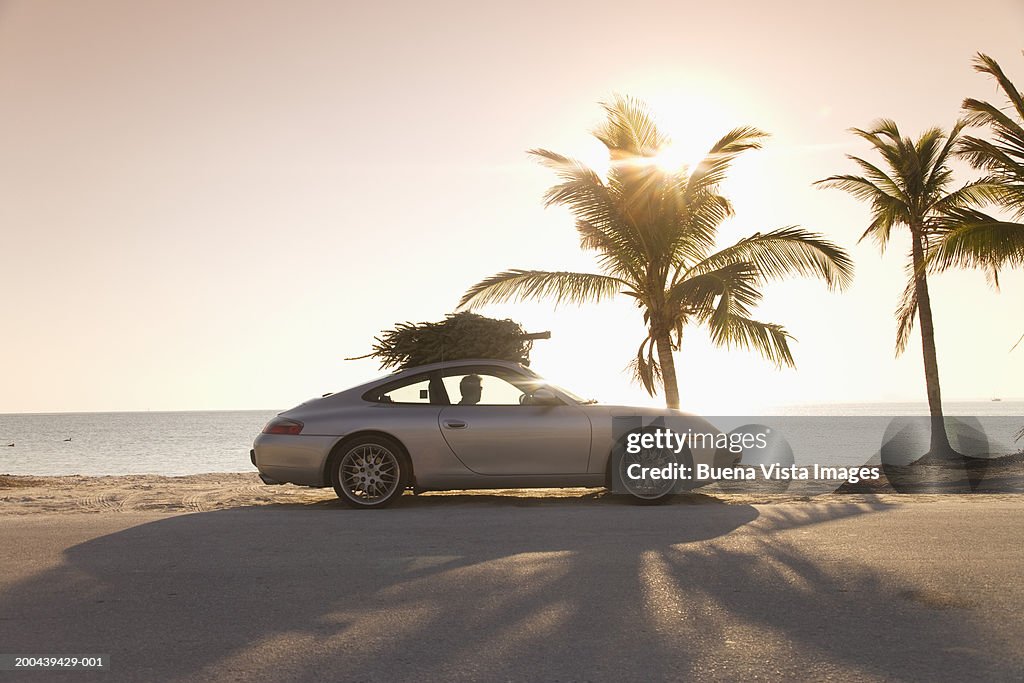 Christmas tree on top of car on beach, side view