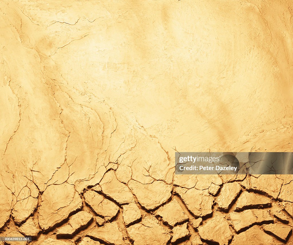 Dry cracked earth, full frame