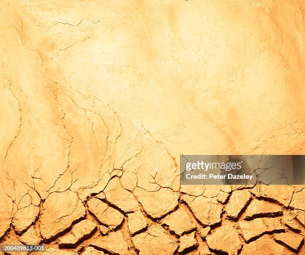 dry cracked earth, full frame - deterioration ストックフォトと画像