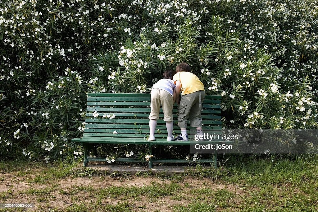 Two children standing on bench and looking in bushes, rear view