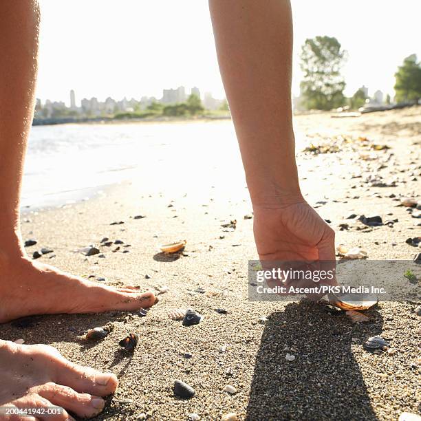 Woman Picking Up Shells Photos and Premium High Res Pictures - Getty Images