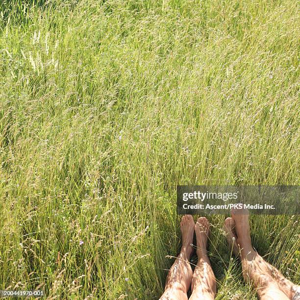 couple lying in tall grass, low section, summer - barefoot couples stock pictures, royalty-free photos & images