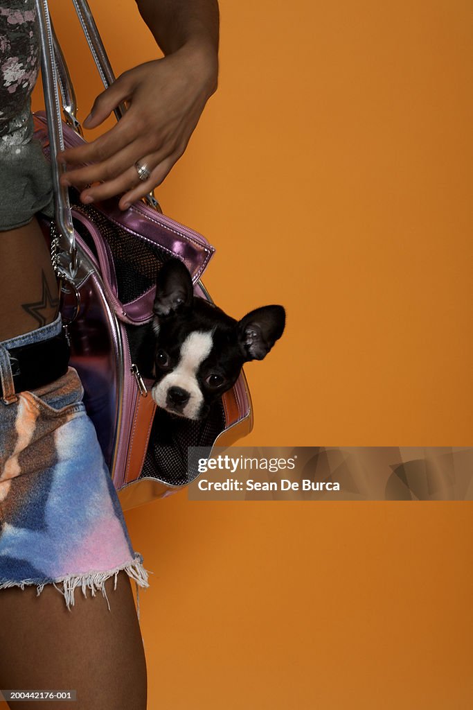 Boston Terrier Shoulder Bag Boston Terrier Shoulder Bag