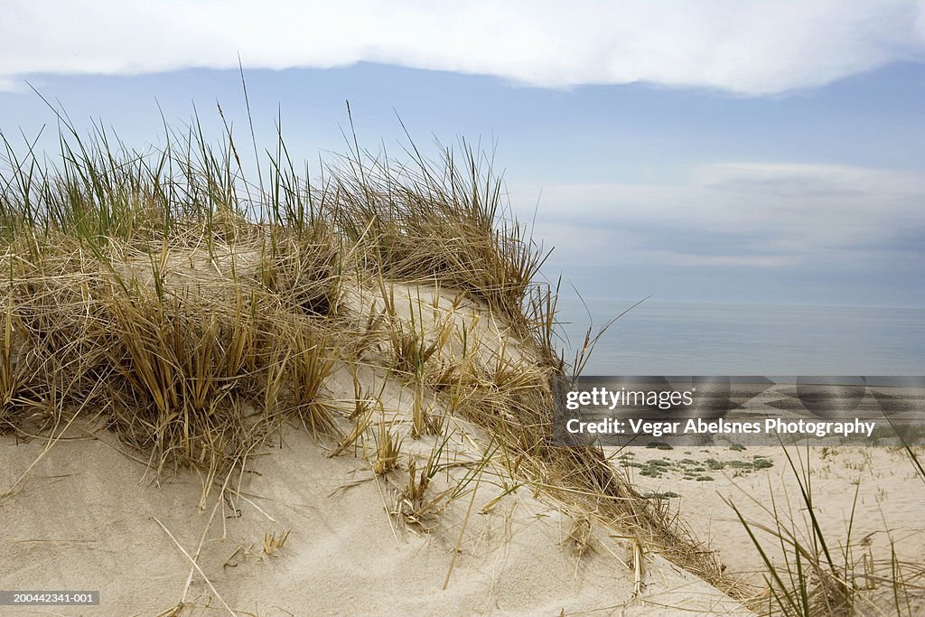 Sand dunes at beach