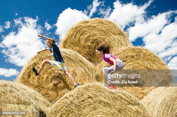 siblings (7-11) leaping across bales of hay, side view - bal odlad bildbanksfoton och bilder