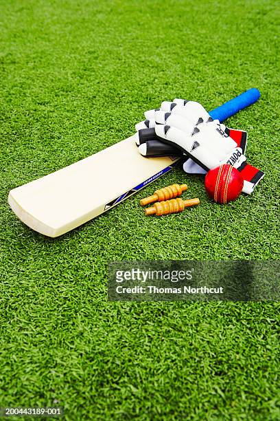 cricket bails, bat, ball and gloves on artificial turf, elevated view - cricketbat stockfoto's en -beelden