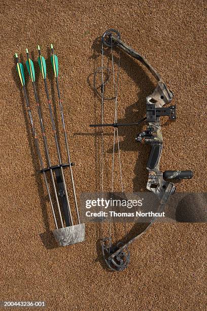 hunting bow and arrows, overhead view - crossbow stock pictures, royalty-free photos & images