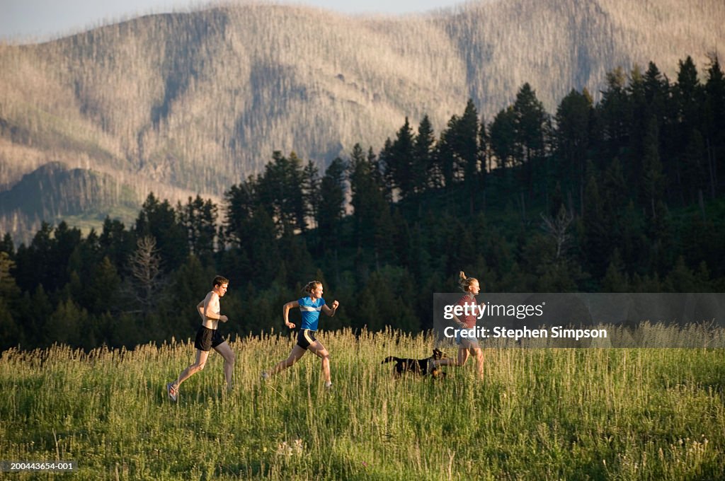 Young people running with border collie on grassy ridge, side view