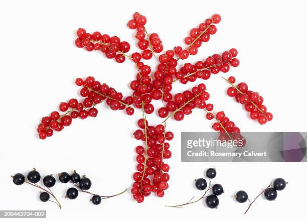 bunches of redcurrants in shape of tree with blackcurrants, close-up - casis fotografías e imágenes de stock