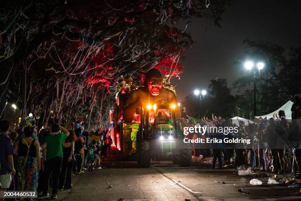 The Krewe of Bacchus parade takes place during 2024 Mardi Gras on February 11, 2024 in New Orleans, Louisiana.