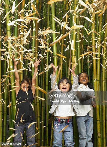 three girls (5-7) throwing dead leaves in japanese timber bamboo grove - phyllostachys-bambusoides stock pictures, royalty-free photos & images