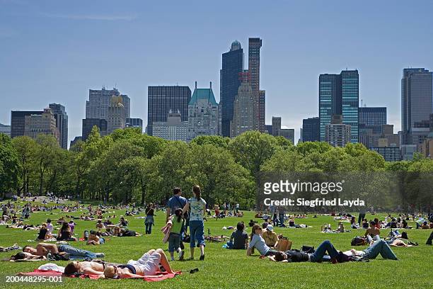 usa, new york city, groups of people relaxing in central park - central park bildbanksfoton och bilder