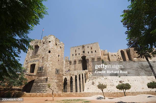 syria, aleppo, the citadel - aleppo citadel stock pictures, royalty-free photos & images