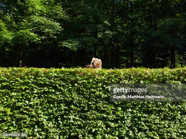 woman trimming garden hedge with shears, smiling - hedge trimming stock pictures, royalty-free photos & images