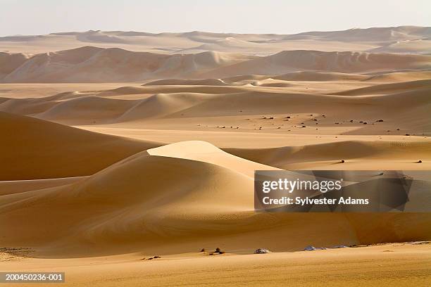 egypt, libyan desert, the great sand sea - saara imagens e fotografias de stock