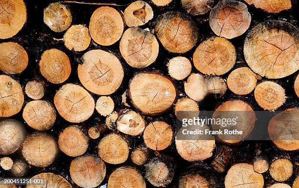 stacks of lumber - log ストックフォトと画像